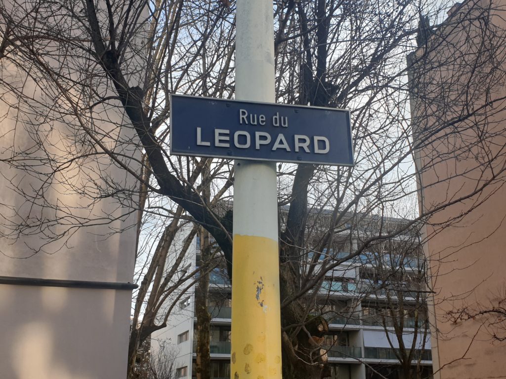 Histoire des noms de rues de Genève: la rue du léopard et la rue des Caroubiers