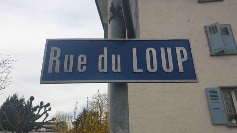 les rues de Genève
