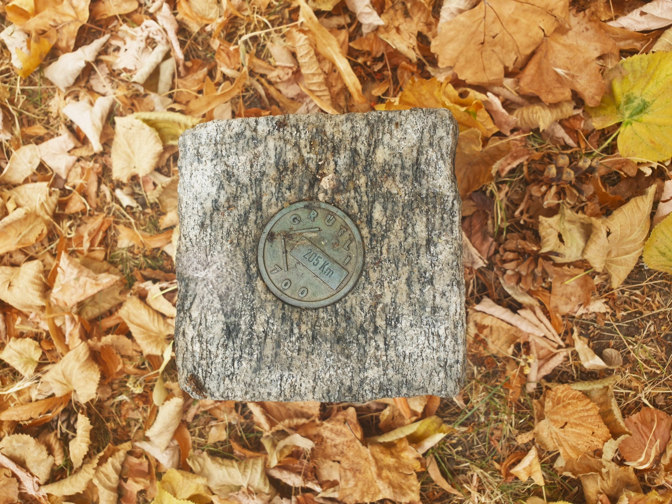 La plaque "Grütli 700"