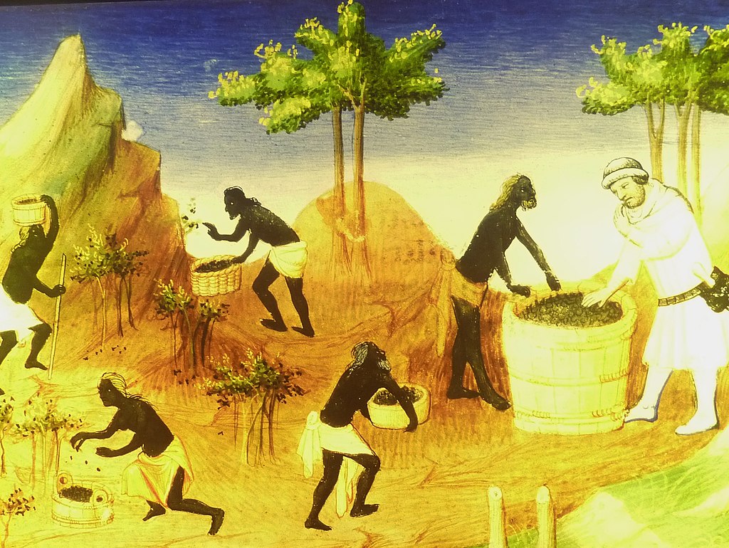 L'Histoire du Poivre