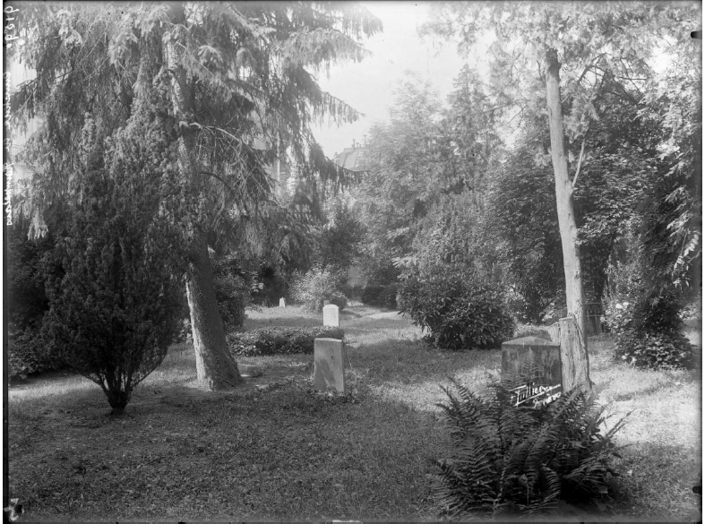 Le cimetière de Plainpalais