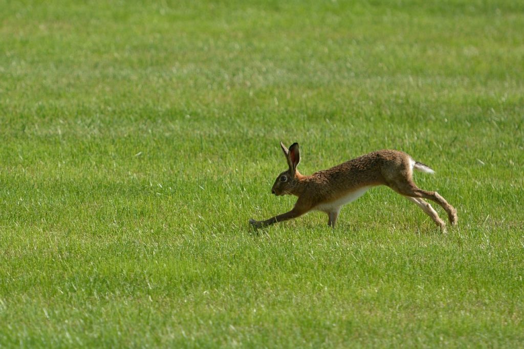 Être au four et au moulin