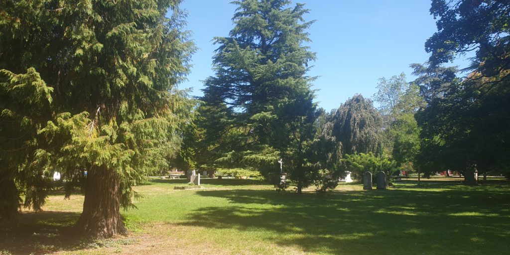 Le cimetière de Plainpalais
