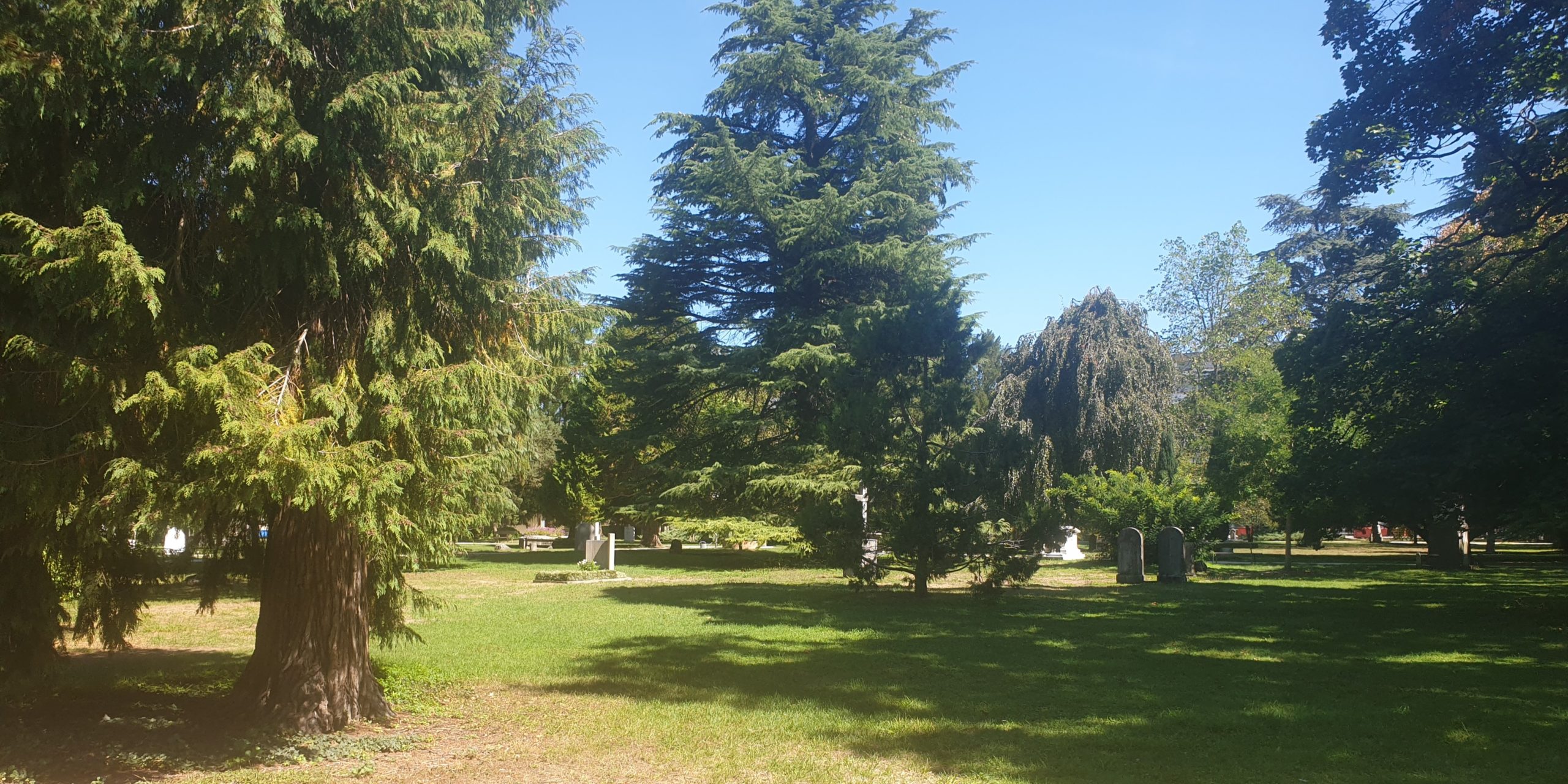 Le cimetière de Plainpalais