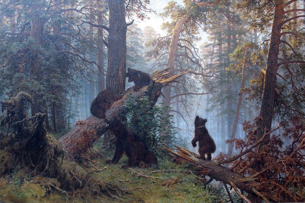 Pourquoi l’ail des ours s’appelle ainsi ?