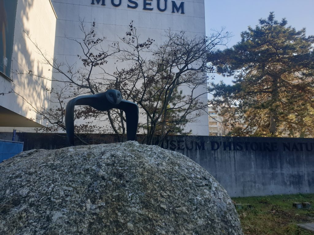 Les sculptures du Muséum