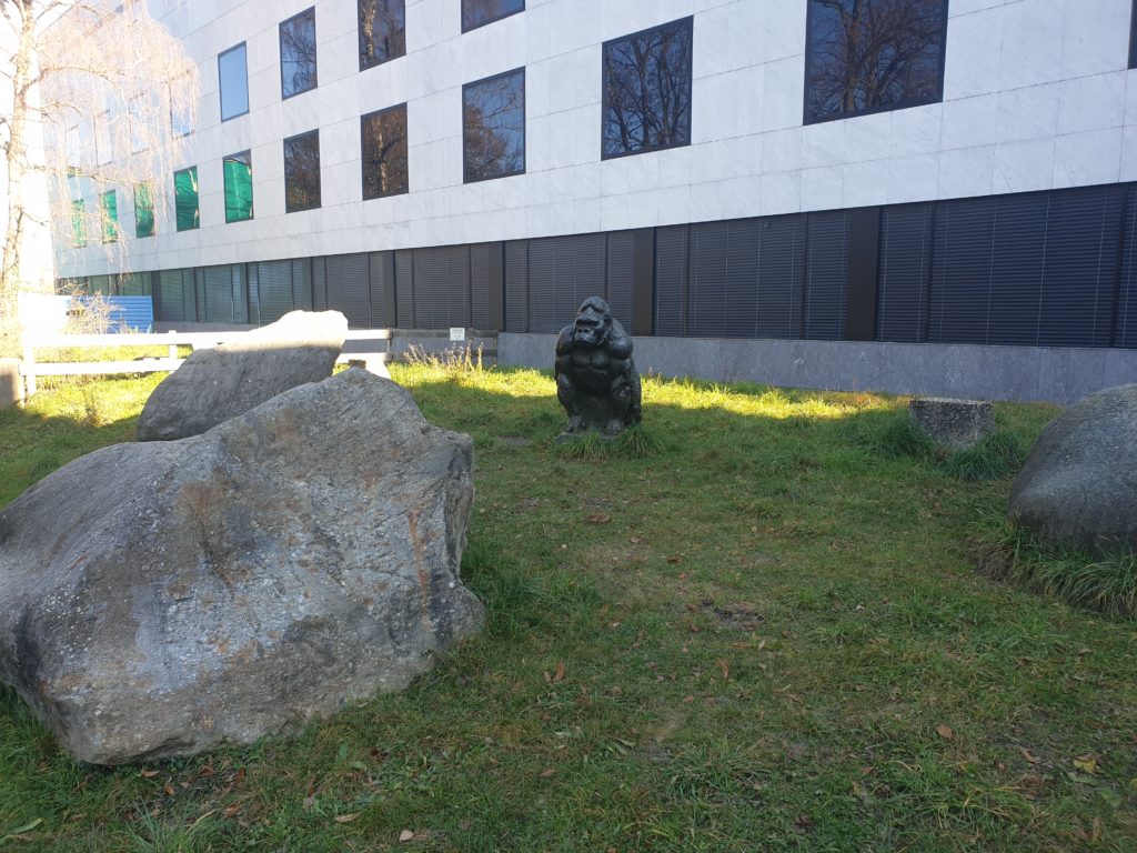 Les sculptures du Muséum