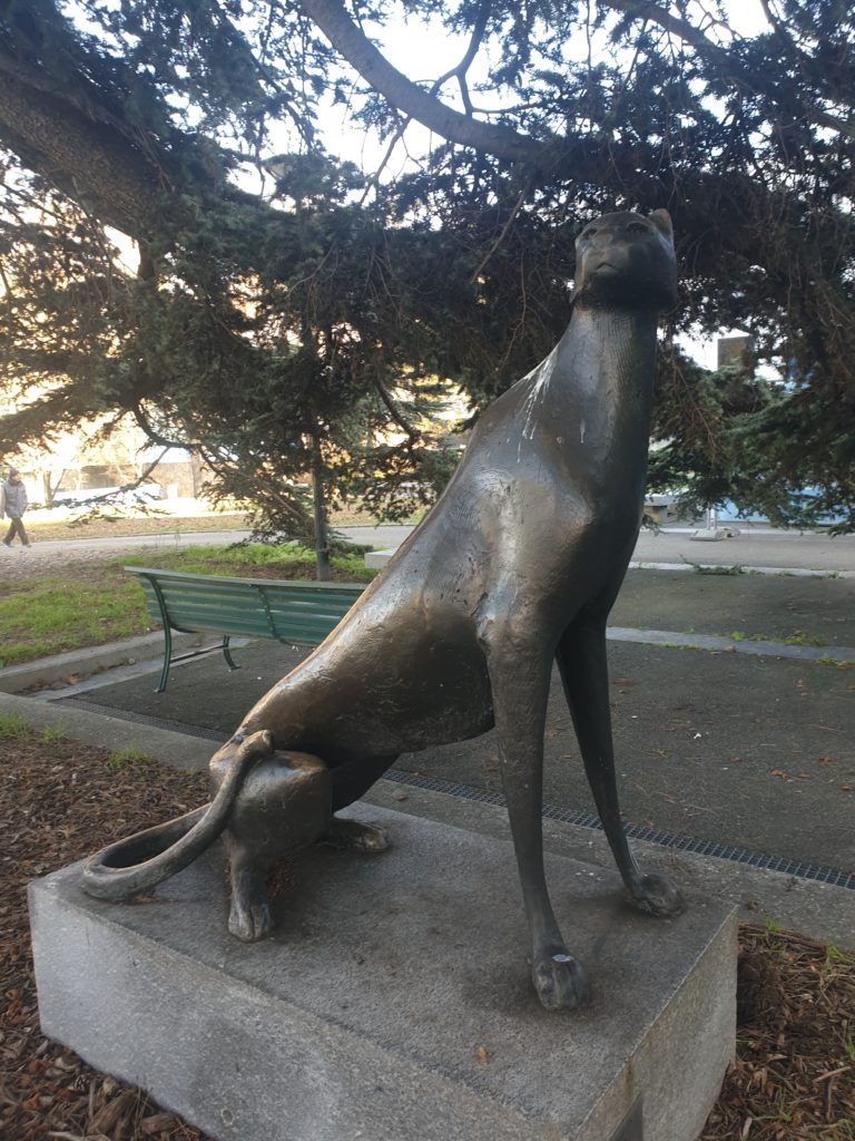 Les sculptures du Muséum