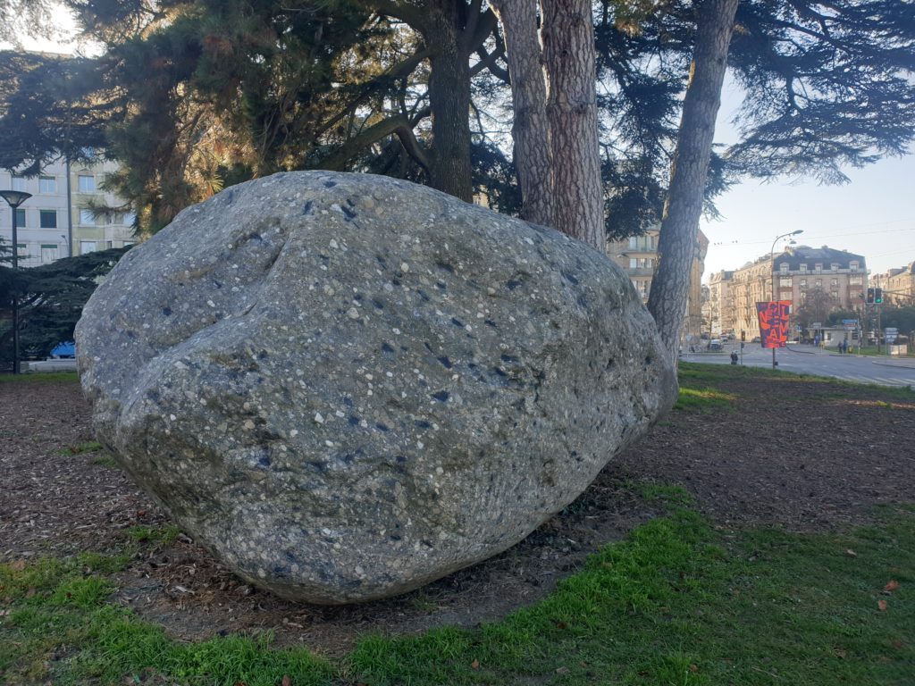 Les sculptures du Muséum
