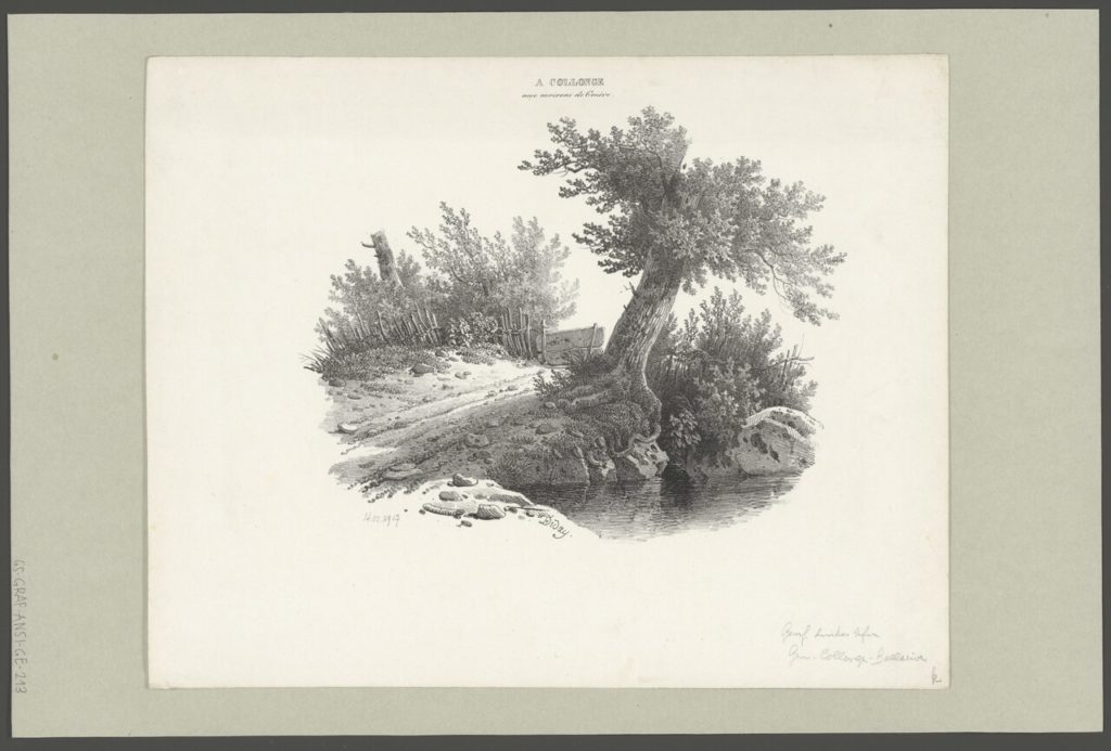 Chemin de la Savonnière